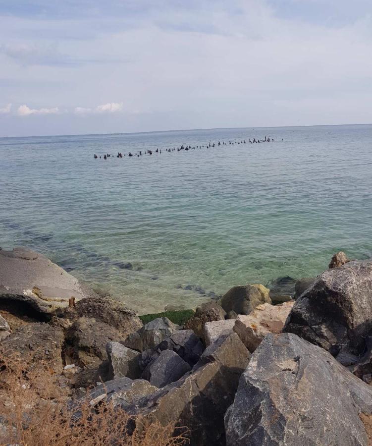 Vip Apartment In The Very Center Of Odessa With Sea View 外观 照片